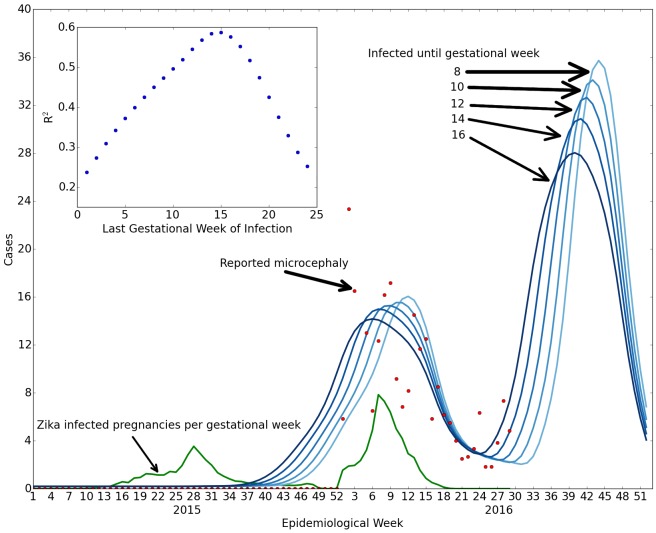 Comparison of Zika and microcephaly cases in Bahia, Brazil}---We compare reported microcephaly cases with or without symptoms of Zika (red dots) with the projected number of cases for susceptibility up to weeks 8, 10, 12, 14, 16 (shades of darker blue) with microcephaly in 84\%, 71\%, 63\%, 56\%, 49\% of the Zika pregnancies (optimized fit), based upon the reported number of Zika infections (green shows estimated Zika infected pregnancies per week of gestation). The left green peak gives rise to the central red/blue peak due to the delay between first trimester infection and the births. The inset shows the goodness of fit for different numbers of weeks in which infections cause microcephaly. The best fit overall occurs for susceptibility up to 16 weeks, but the initial rise is more consistent with 8 weeks, suggesting that the Zika-induced microcephaly cases are likely due to infections approximately during the second month of pregnancy rather than the first trimester as a whole.