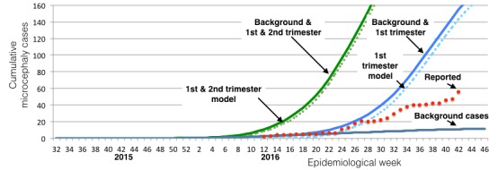 Comparison of reported cases in Colombia with background and Zika causal models}---Reported cases of Zika and microcephaly (red dots) are compared with expected number of background cases due to coincidence of microcephaly with Zika infections at a rate of 2 per 10,000 births (gray), and two models of Zika-induced microcephaly suggested by from the study in French Polynesia \cite{Cauchemez2016}. The first assumes that pregnancies infected in the first trimester have a 1:100 rate of microcephaly, the second assumes that pregnancies infected in the first and second trimester have a 1:200 rate of microcephaly. The data is consistent with just background cases until the report of epidemiological week 24, ending June 18. The data in weeks 24 through 27 is reasonably consistent with the first trimester model, but not with later weeks. The overall rate is much lower than that consistent with the number of cases in northeast Brazil.