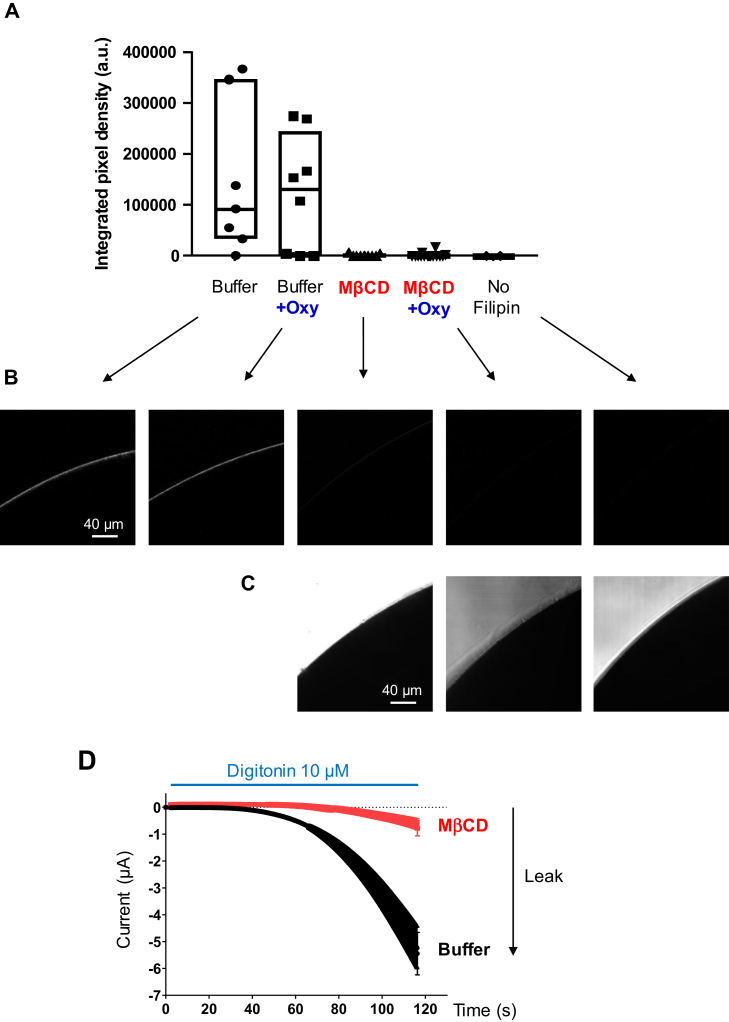 Fig. 6