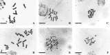 F<sc>ig</sc>. 1.