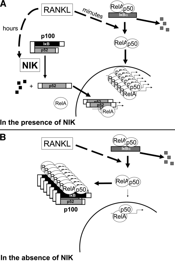 Figure 10.