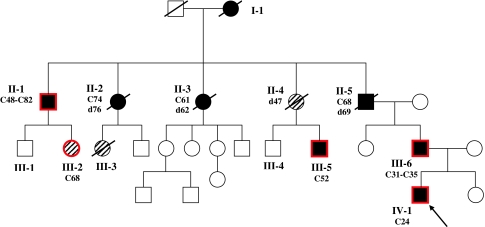 Fig. 1