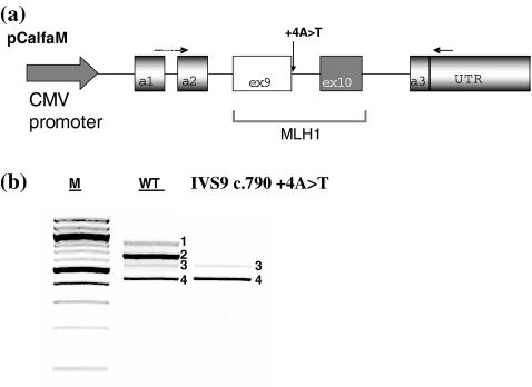 Fig. 4