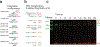 Extended Data Fig. 1