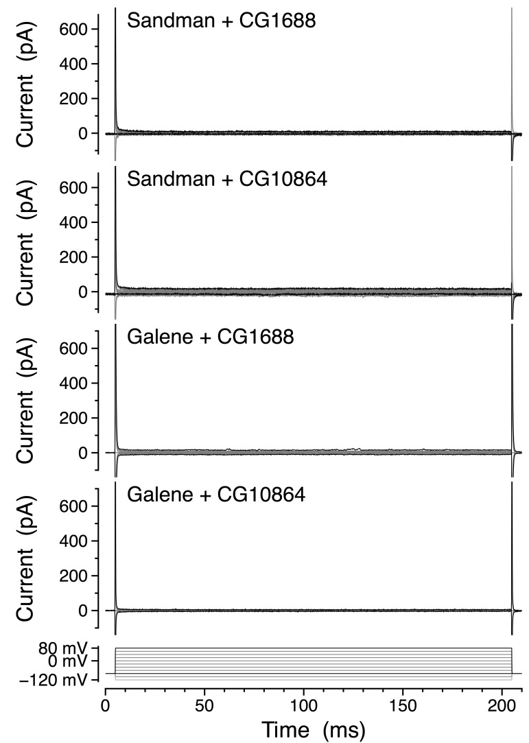 Figure 5—figure supplement 1.