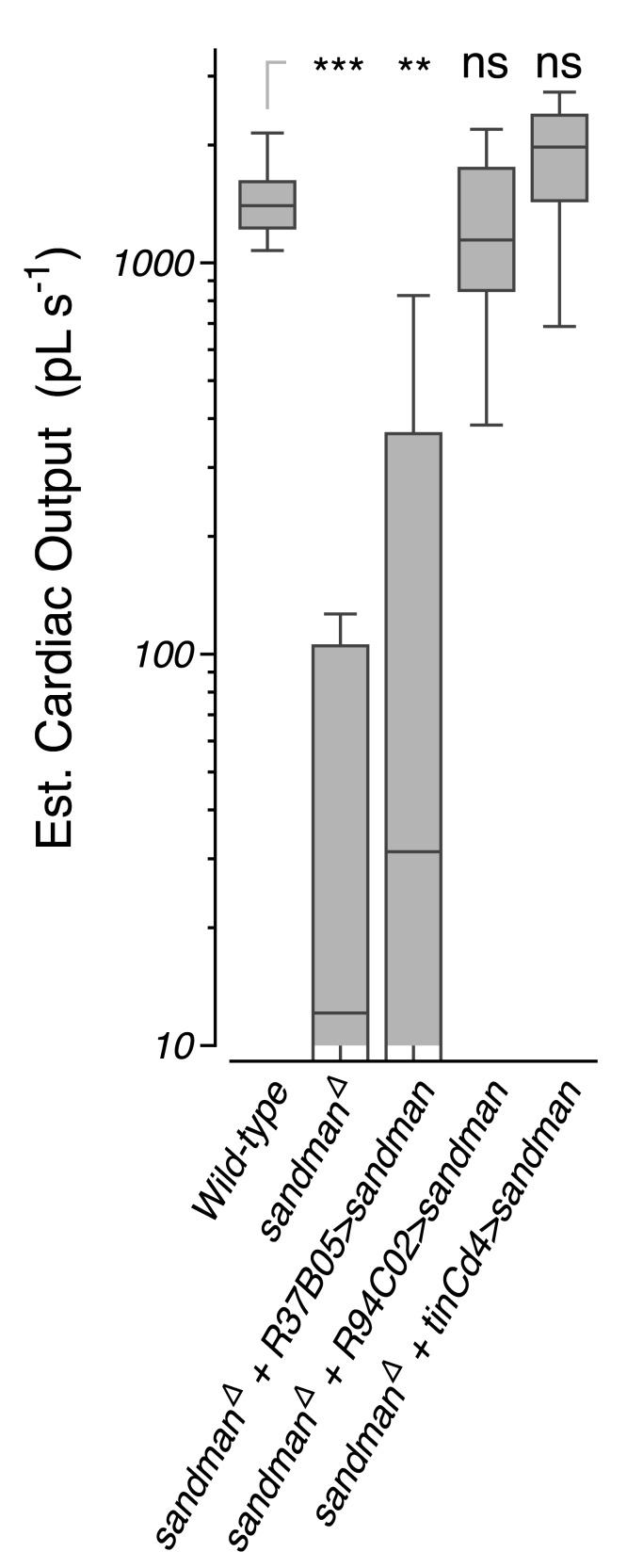 Figure 4—figure supplement 3.