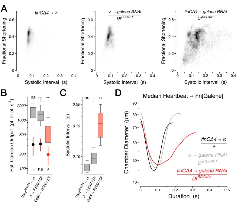 Figure 3—figure supplement 2.