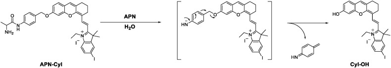 Scheme 2