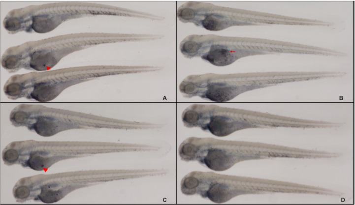 Figure 10