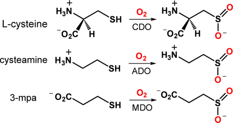 Scheme 1.