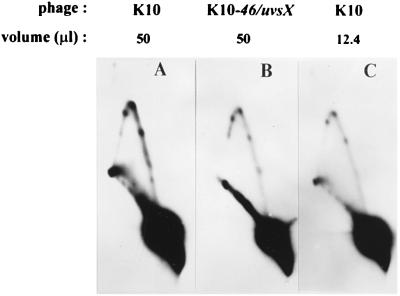 FIG. 10