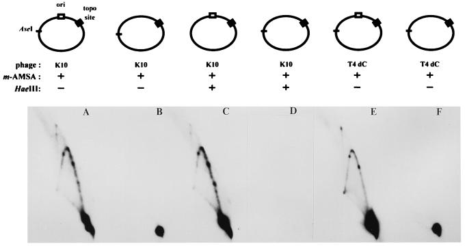 FIG. 7