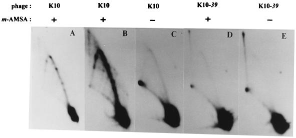 FIG. 6