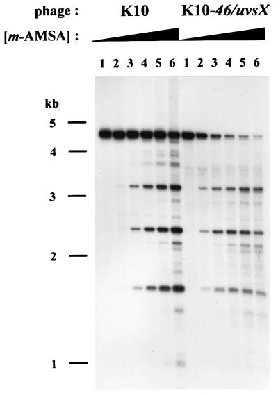 FIG. 9