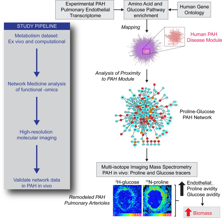 graphic file with name jciinsight-8-163932-g078.jpg