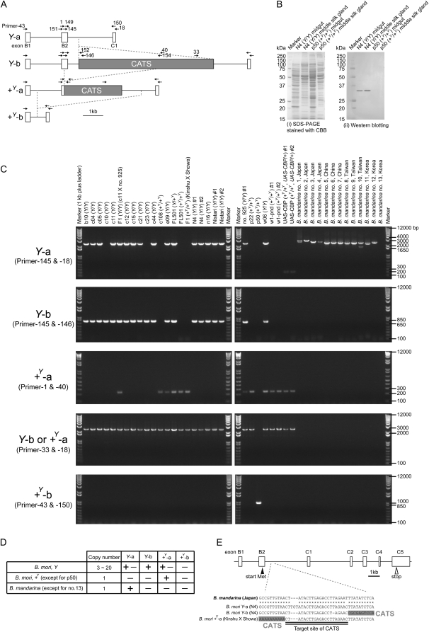 Figure 3.—