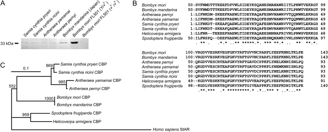 Figure 1.—