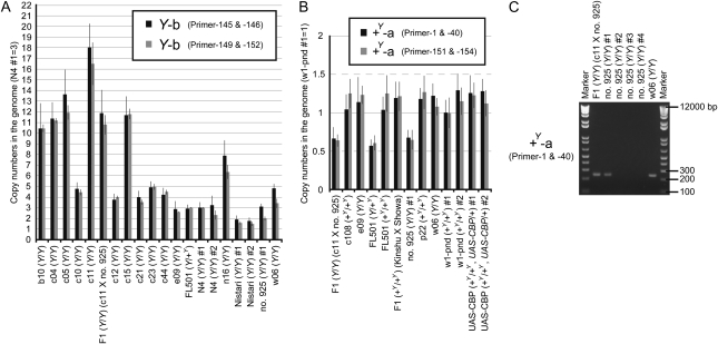 Figure 4.—