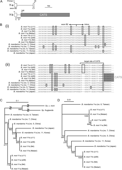 Figure 6.—