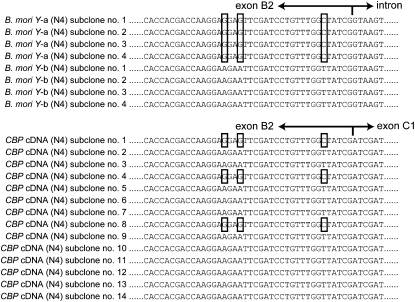 Figure 7.—