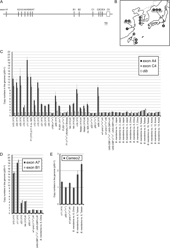 Figure 2.—