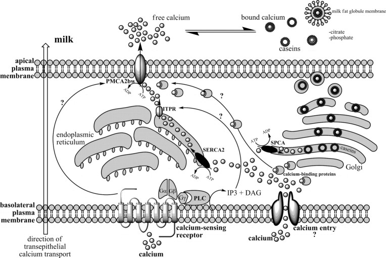 Fig. 8.