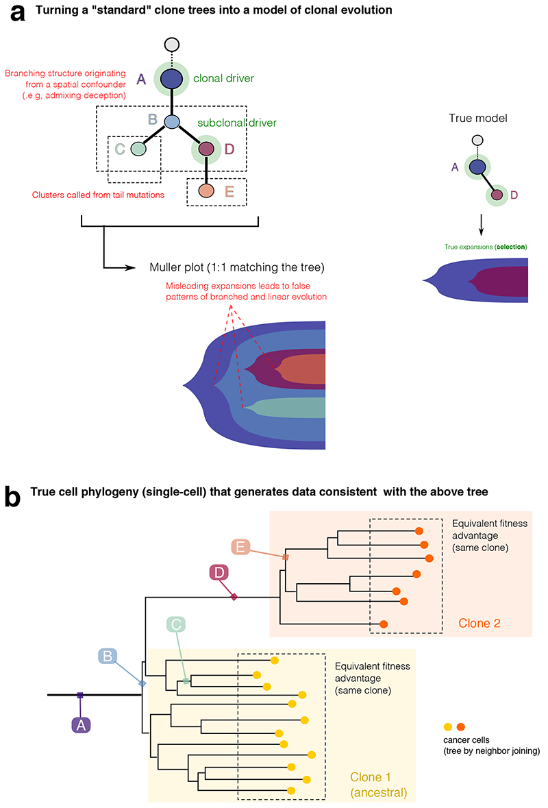 Extended Data Fig. 5