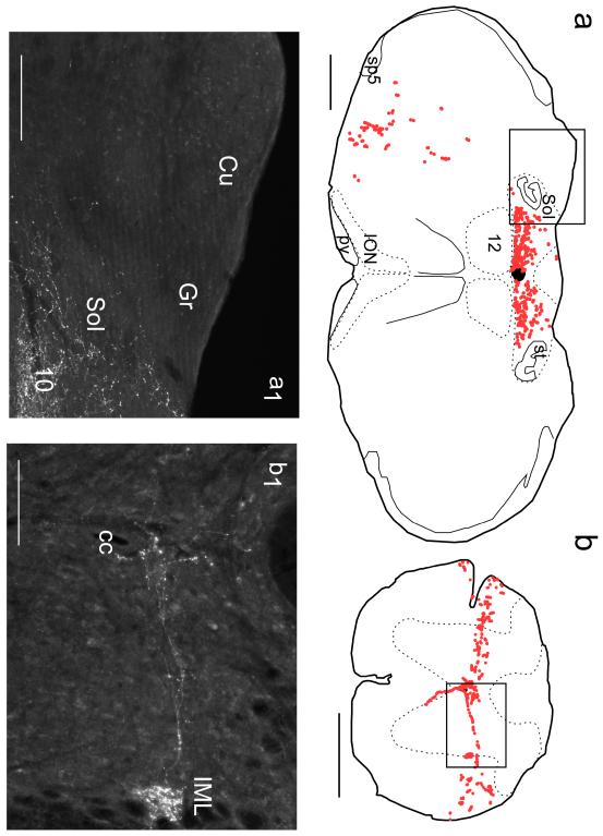 Fig. 11