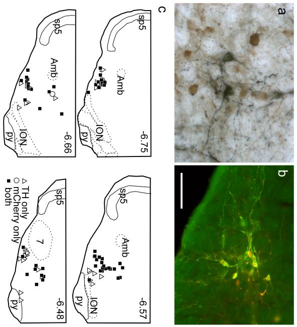 Fig. 10