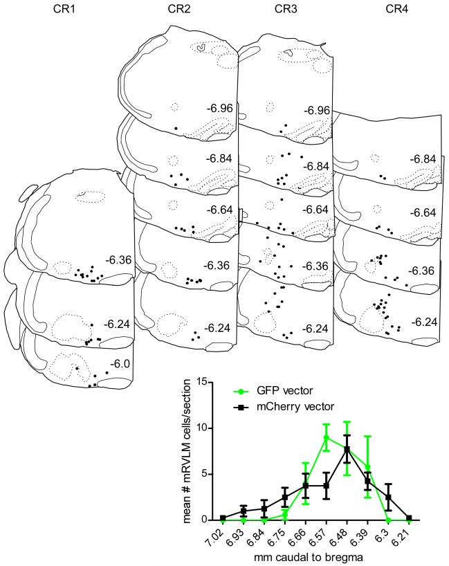 Fig. 12