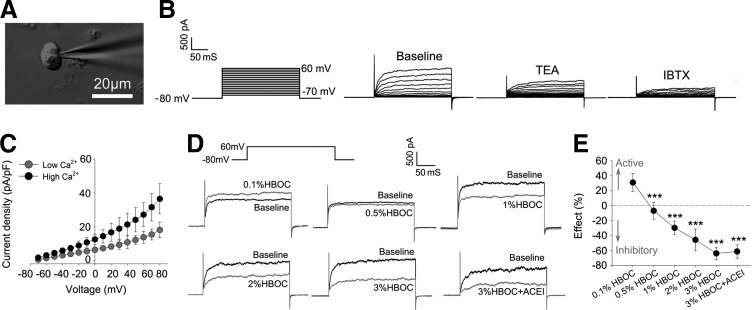 FIG. 8.