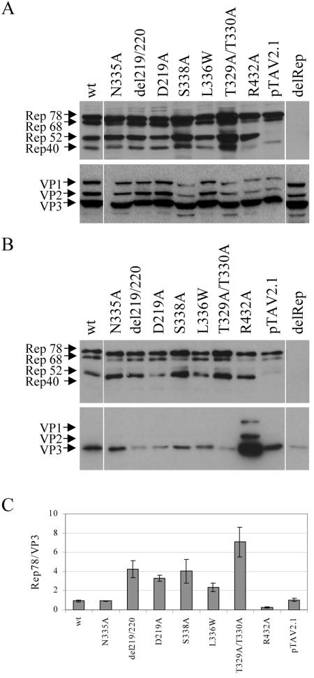 FIG. 5.