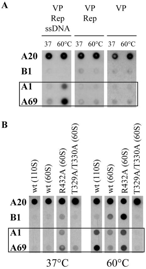 FIG. 7.