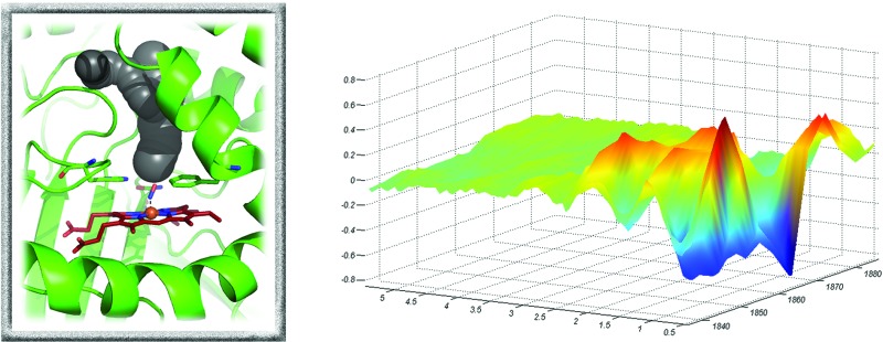 graphic file with name c4sc02752c-ga.jpg