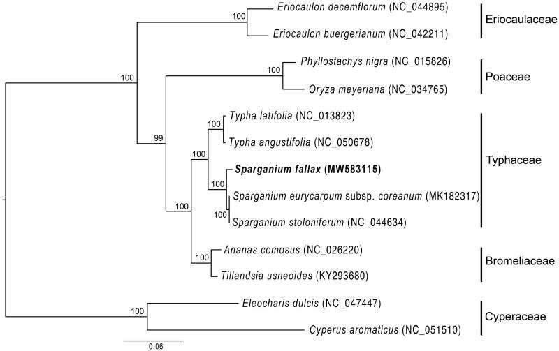 Figure 1.