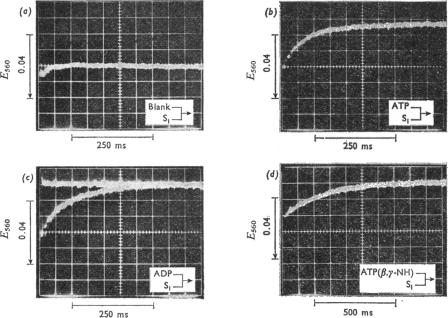 Fig. 11.