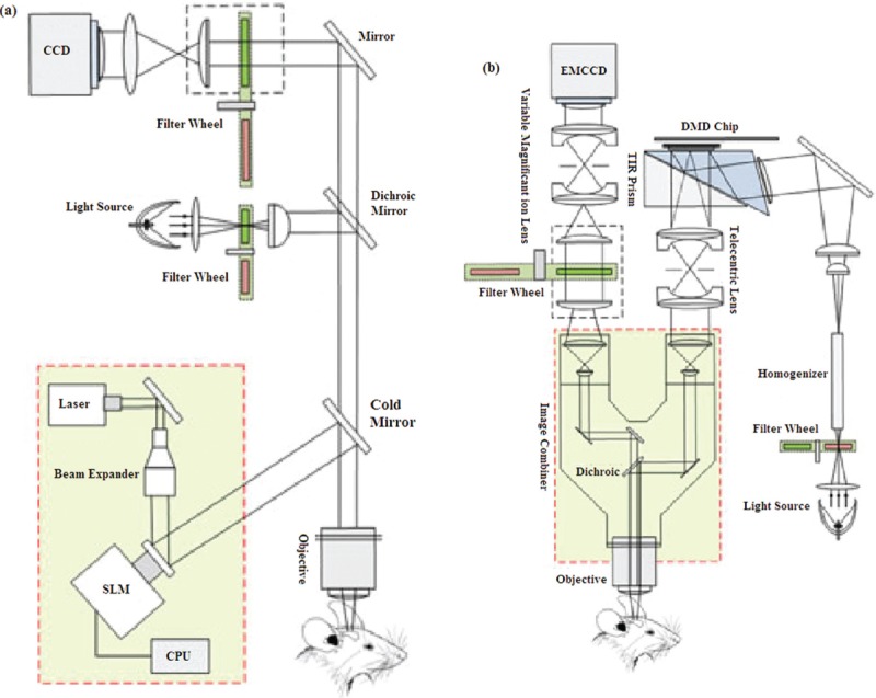 Figure 9