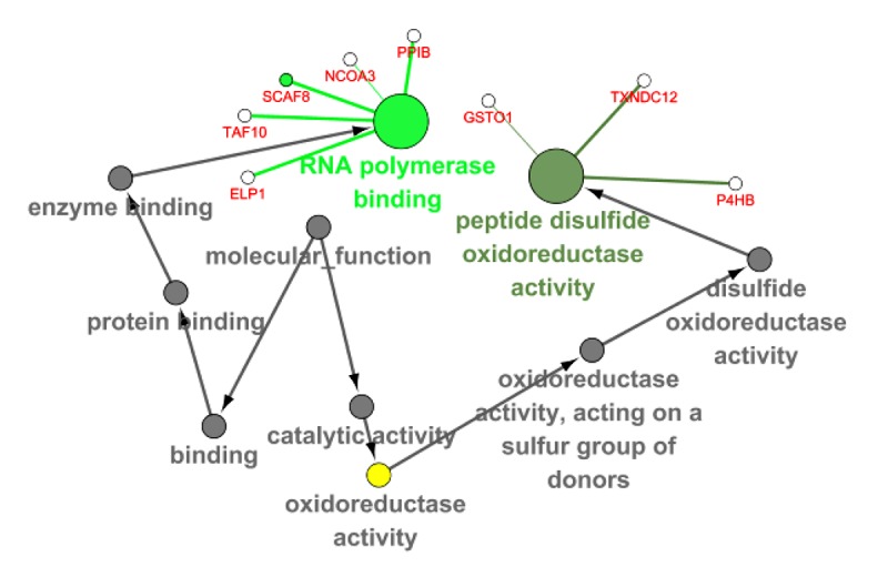 Figure 9