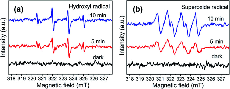 Fig. 10