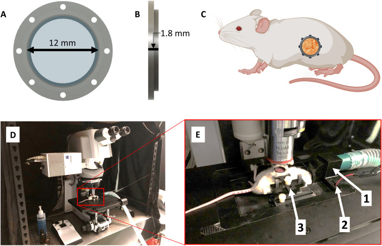 Fig. 2.