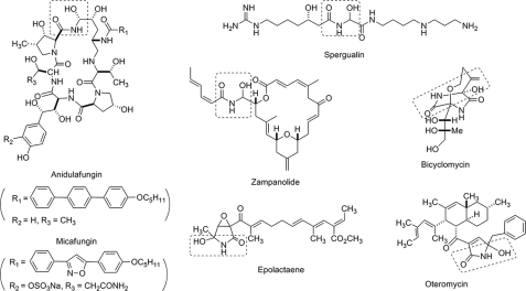 FIGURE 5.