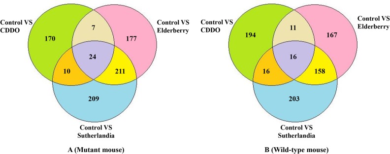 Fig 11