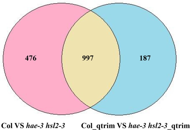 Fig 13