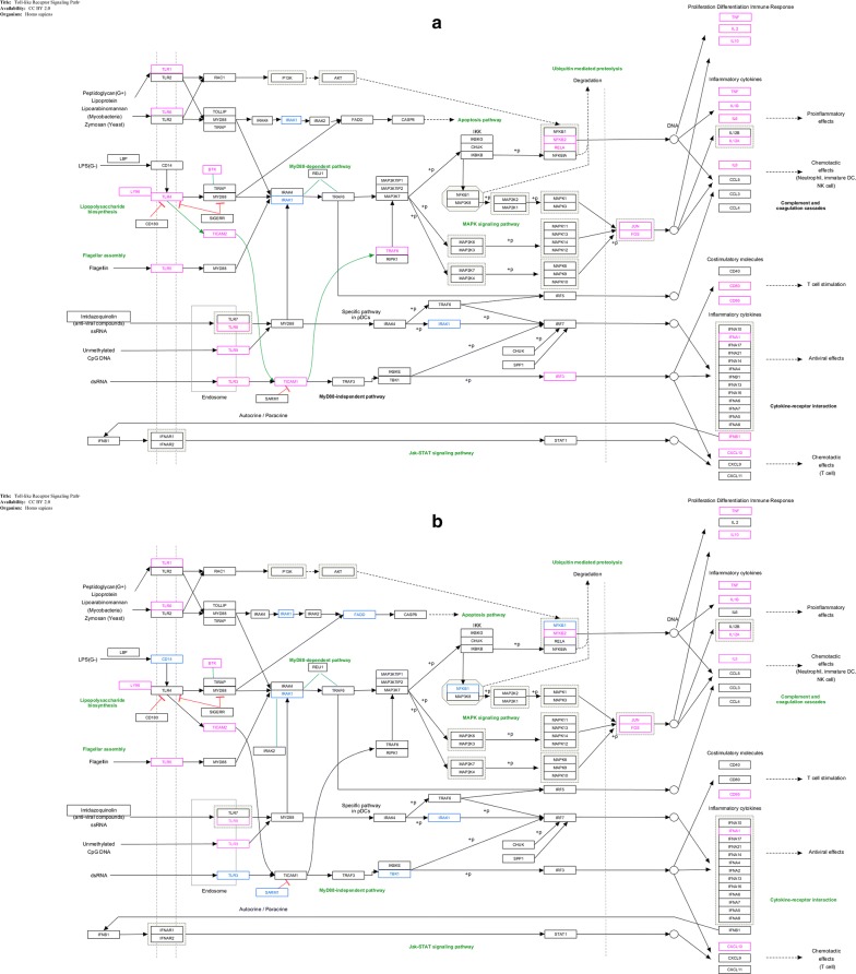 Fig. 3