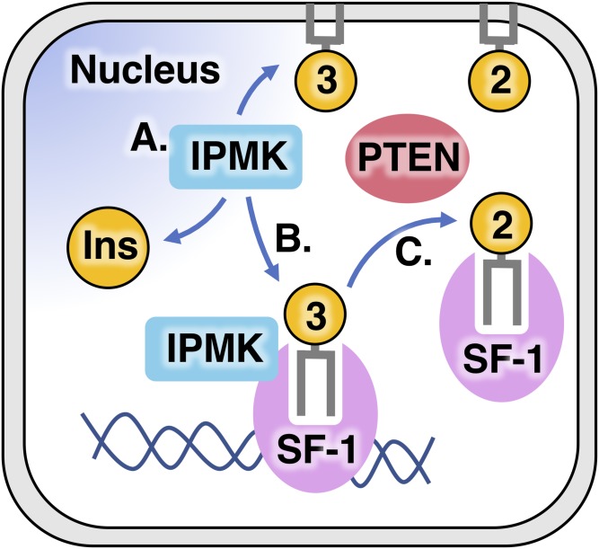 Fig. 3.