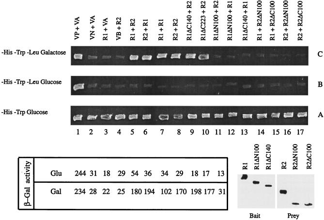 FIG. 3