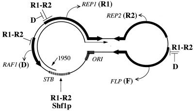 FIG. 9