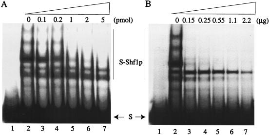 FIG. 7