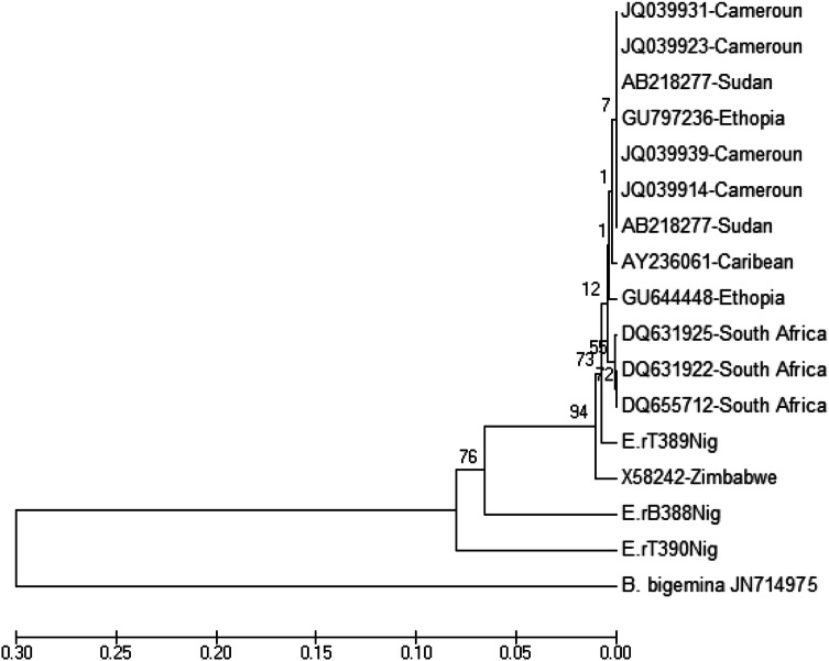 Fig. 2