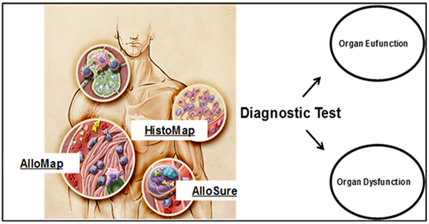 Figure 2: